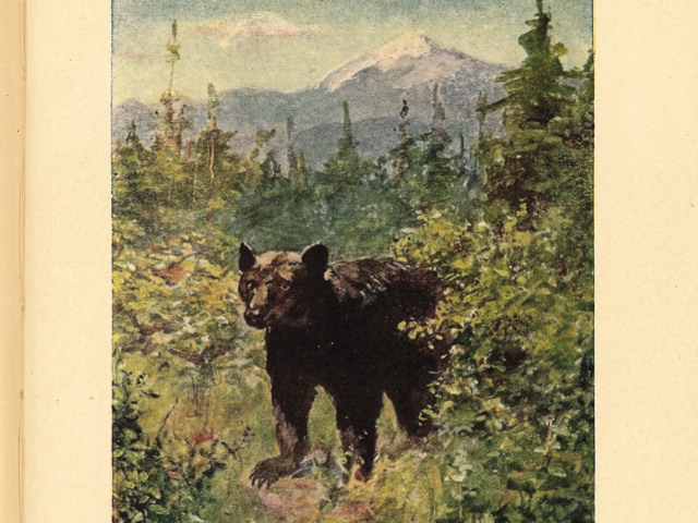 Joaquin Miller pics.133